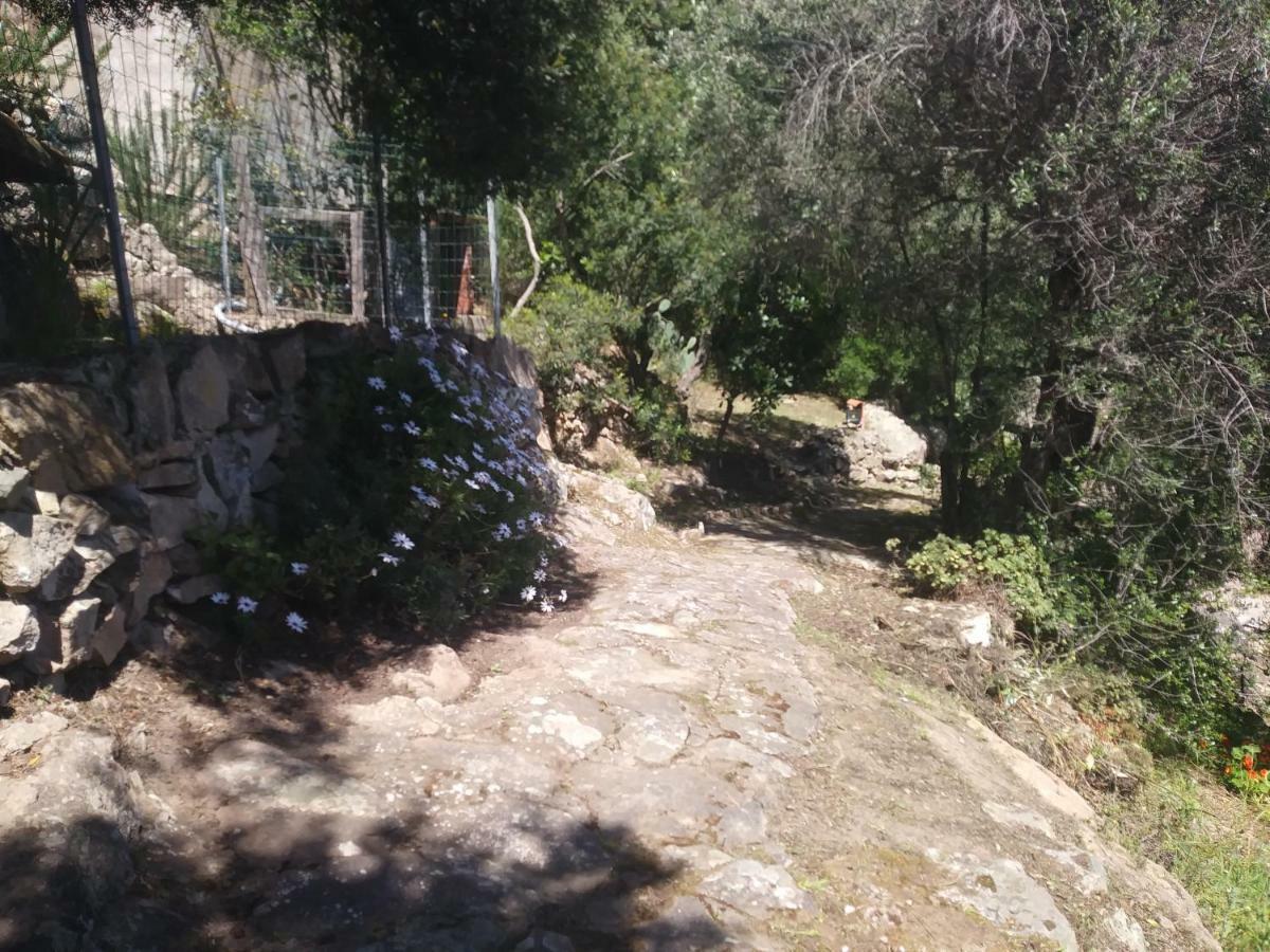 Ca Da Marta Q4526 Villa Carloforte  Exteriör bild